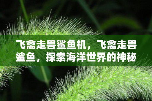 飞禽走兽鲨鱼机，飞禽走兽鲨鱼，探索海洋世界的神秘生物