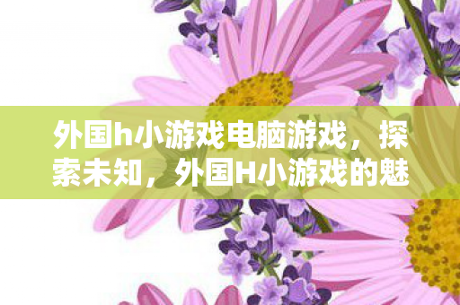 外国h小游戏电脑游戏,探索未知,外国H小游戏的魅力与影响 外国h小游戏电脑游戏,探索未知,外国H小游戏的魅力与影响