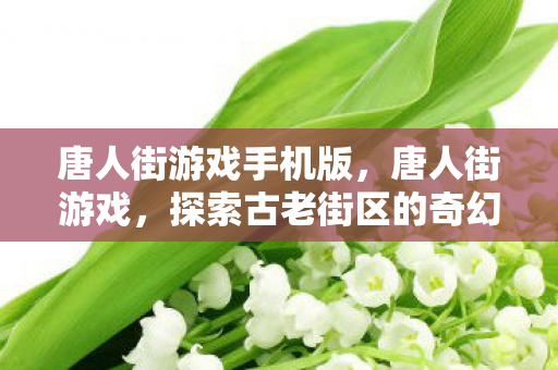 唐人街游戏手机版，唐人街游戏，探索古老街区的奇幻冒险