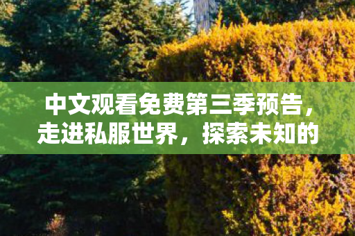中文观看免费第三季预告，走进私服世界，探索未知的游戏维度