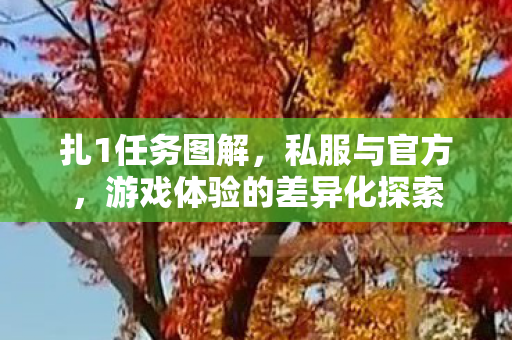 扎1任务图解,私服与官方,游戏体验的差异化探索 扎1任务图解,私服与官方,游戏体验的差异化探索