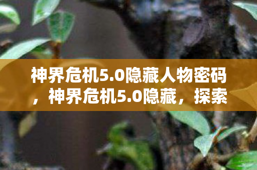 神界危机5.0隐藏人物密码,神界危机5.0隐藏,探索未知世界的神秘之旅 神界危机5.0隐藏人物密码,神界危机5.0隐藏,探索未知世界的神秘之旅