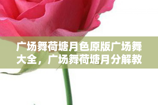 广场舞荷塘月色原版广场舞大全,广场舞荷塘月分解教学 广场舞荷塘月色原版广场舞大全,广场舞荷塘月分解教学