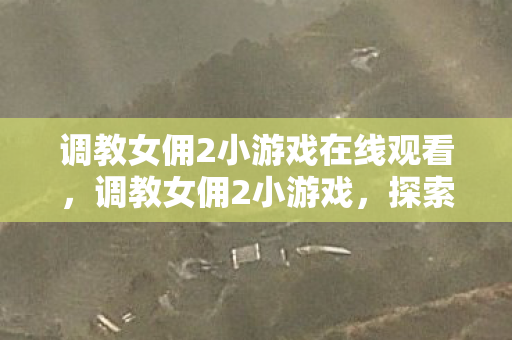 调教女佣2小游戏在线观看,调教女佣2小游戏,探索虚拟世界的奇妙之旅 调教女佣2小游戏在线观看,调教女佣2小游戏,探索虚拟世界的奇妙之旅