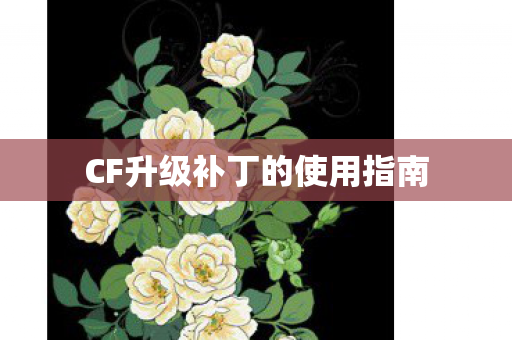 CF升级补丁的使用指南 CF升级补丁的使用指南