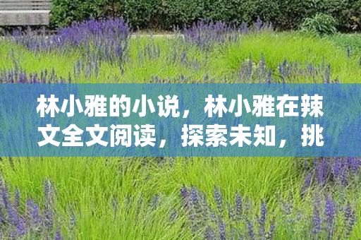 林小雅的小说,林小雅在辣文全文阅读,探索未知,挑战自我 林小雅的小说,林小雅在辣文全文阅读,探索未知,挑战自我