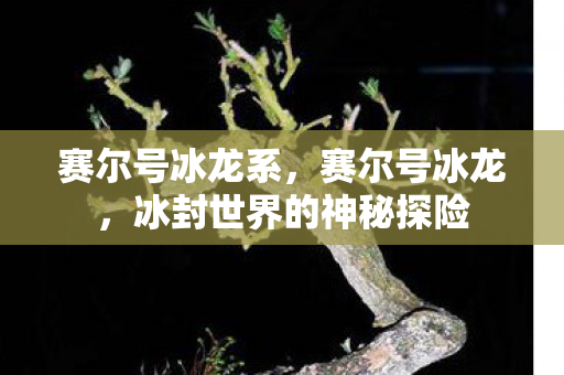 赛尔号冰龙系，赛尔号冰龙，冰封世界的神秘探险
