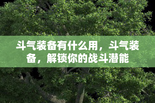 斗气装备有什么用,斗气装备,解锁你的战斗潜能 斗气装备有什么用,斗气装备,解锁你的战斗潜能