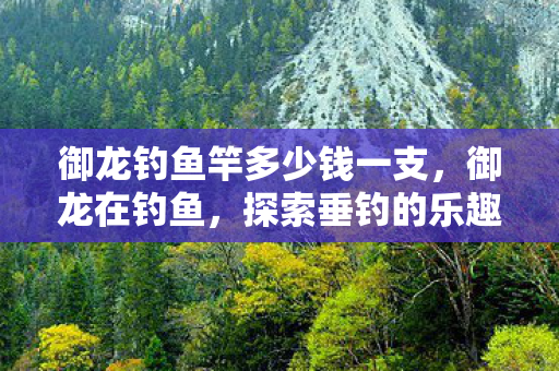 御龙钓鱼竿多少钱一支,御龙在钓鱼,探索垂钓的乐趣与智慧 御龙钓鱼竿多少钱一支,御龙在钓鱼,探索垂钓的乐趣与智慧
