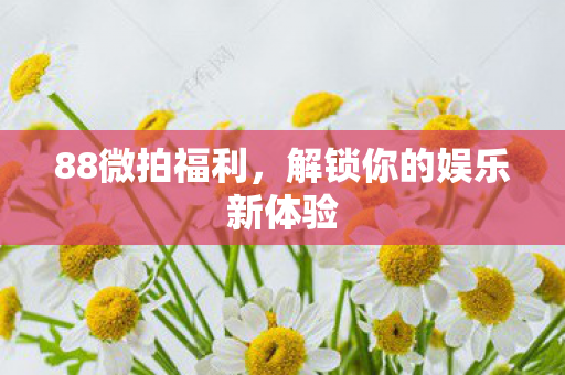 88微拍福利,解锁你的娱乐新体验 88微拍福利,解锁你的娱乐新体验