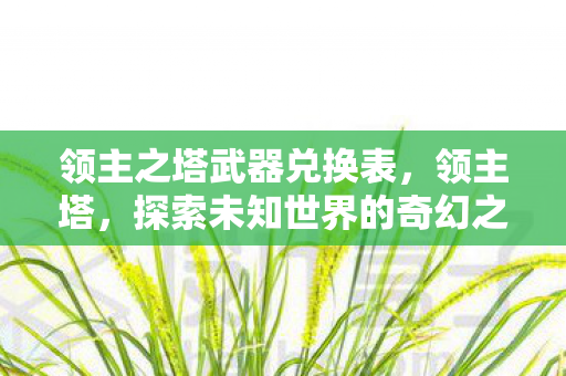 领主之塔武器兑换表,领主塔,探索未知世界的奇幻之旅 领主之塔武器兑换表,领主塔,探索未知世界的奇幻之旅
