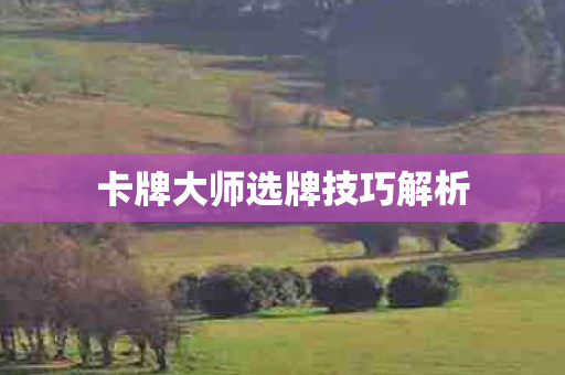 卡牌大师选牌技巧解析 卡牌大师选牌技巧解析