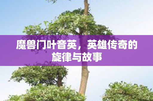 魔兽门叶音英，英雄传奇的旋律与故事