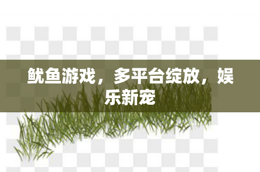 鱿鱼游戏,多平台绽放,娱乐新宠 鱿鱼游戏,多平台绽放,娱乐新宠