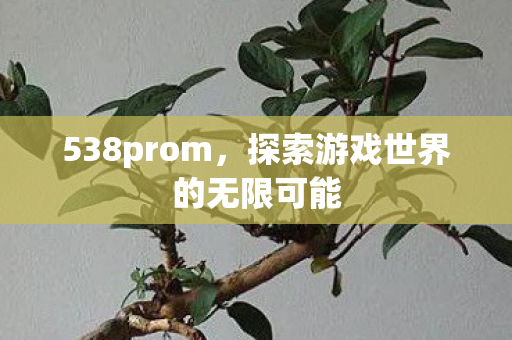 538prom，探索游戏世界的无限可能