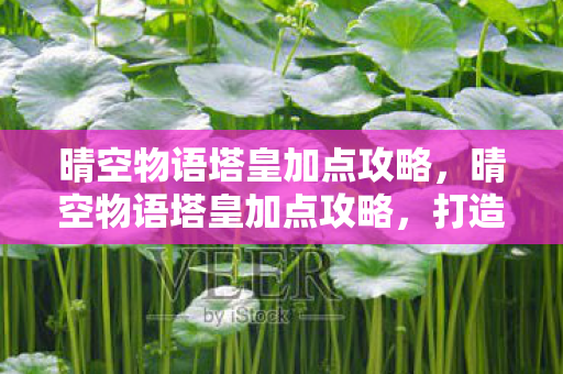 晴空物语塔皇加点攻略，晴空物语塔皇加点攻略，打造最强角色，征服天际