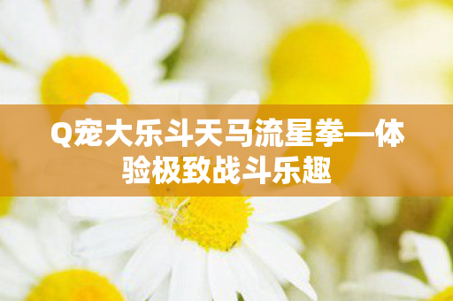 Q宠大乐斗天马流星拳—体验极致战斗乐趣 Q宠大乐斗天马流星拳—体验极致战斗乐趣