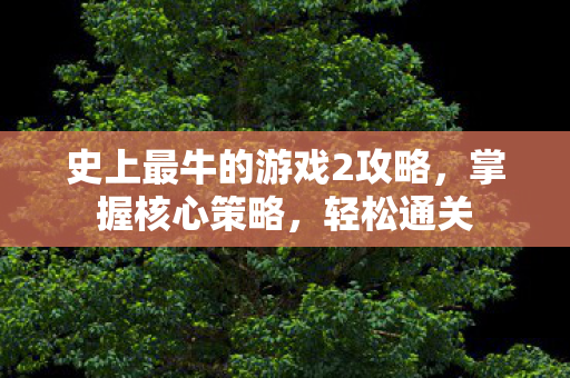 史上最牛的游戏2攻略,掌握核心策略,轻松通关 史上最牛的游戏2攻略,掌握核心策略,轻松通关