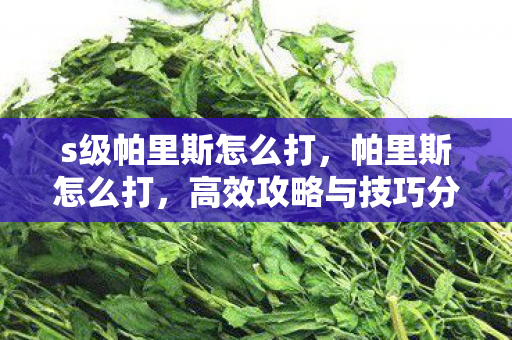 s级帕里斯怎么打,帕里斯怎么打,高效攻略与技巧分享 s级帕里斯怎么打,帕里斯怎么打,高效攻略与技巧分享