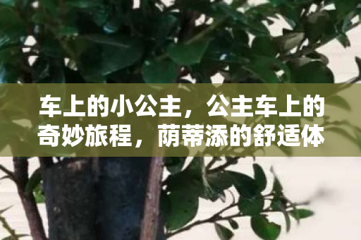 车上的小公主,公主车上的奇妙旅程,荫蒂添的舒适体验 车上的小公主,公主车上的奇妙旅程,荫蒂添的舒适体验