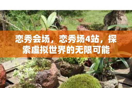恋秀会场,恋秀场4站,探索虚拟世界的无限可能 恋秀会场,恋秀场4站,探索虚拟世界的无限可能