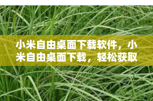小米自由桌面下载软件,小米自由桌面下载,轻松获取个性化桌面体验 小米自由桌面下载软件,小米自由桌面下载,轻松获取个性化桌面体验