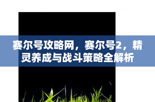 赛尔号攻略网,赛尔号2,精灵养成与战斗策略全解析 赛尔号攻略网,赛尔号2,精灵养成与战斗策略全解析