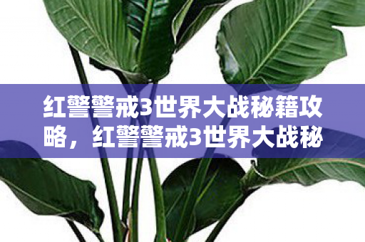 红警警戒3世界大战秘籍攻略,红警警戒3世界大战秘籍,策略与技巧的深度剖析 红警警戒3世界大战秘籍攻略,红警警戒3世界大战秘籍,策略与技巧的深度剖析