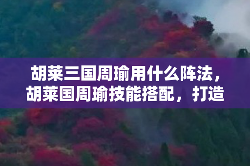 胡莱三国周瑜用什么阵法,胡莱国周瑜技能搭配,打造最强策略战将 胡莱三国周瑜用什么阵法,胡莱国周瑜技能搭配,打造最强策略战将