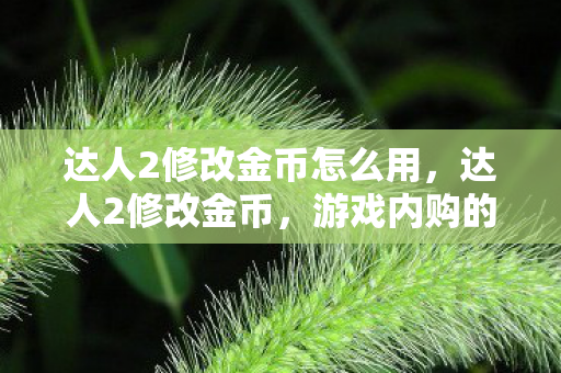 达人2修改金币怎么用,达人2修改金币,游戏内购的灰色地带与合规性探讨 达人2修改金币怎么用,达人2修改金币,游戏内购的灰色地带与合规性探讨