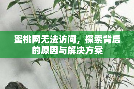 蜜桃网无法访问,探索背后的原因与解决方案 蜜桃网无法访问,探索背后的原因与解决方案