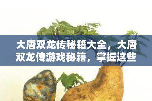 大唐双龙传秘籍大全,大唐双龙传游戏秘籍,掌握这些技巧,助你称霸江湖 大唐双龙传秘籍大全,大唐双龙传游戏秘籍,掌握这些技巧,助你称霸江湖