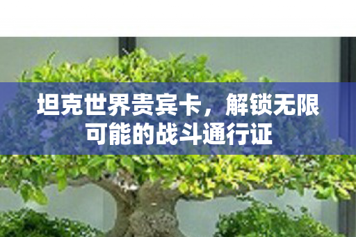 坦克世界贵宾卡,解锁无限可能的战斗通行证 坦克世界贵宾卡,解锁无限可能的战斗通行证