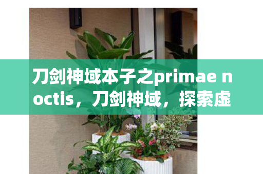刀剑神域本子之primae noctis,刀剑神域,探索虚拟世界的无限可能 刀剑神域本子之primae noctis,刀剑神域,探索虚拟世界的无限可能