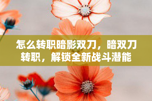 怎么转职暗影双刀，暗双刀转职，解锁全新战斗潜能