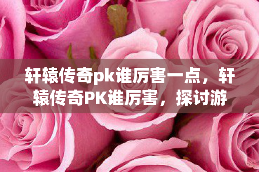 轩辕传奇pk谁厉害一点，轩辕传奇PK谁厉害，探讨游戏内角色实力与策略