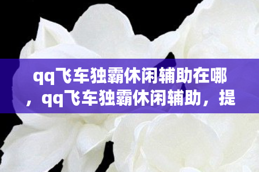 qq飞车独霸休闲辅助在哪，qq飞车独霸休闲辅助，提升游戏体验的利器