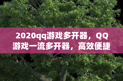 2020qq游戏多开器，QQ游戏一流多开器，高效便捷的游戏体验