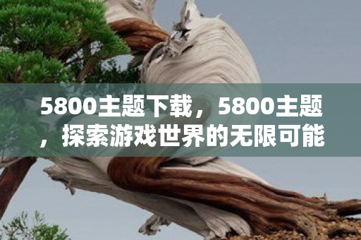 5800主题下载，5800主题，探索游戏世界的无限可能