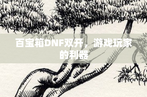 百宝箱DNF双开，游戏玩家的利器