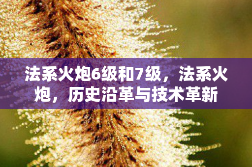 法系火炮6级和7级，法系火炮，历史沿革与技术革新
