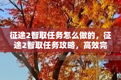征途2智取任务怎么做的,征途2智取任务攻略,高效完成技巧分享 征途2智取任务怎么做的,征途2智取任务攻略,高效完成技巧分享