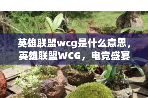 英雄联盟wcg是什么意思,英雄联盟WCG,电竞盛宴的辉煌与传承 英雄联盟wcg是什么意思,英雄联盟WCG,电竞盛宴的辉煌与传承