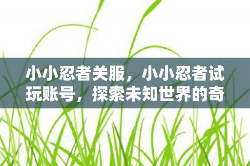 小小忍者关服，小小忍者试玩账号，探索未知世界的奇妙之旅