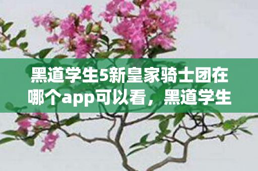 黑道学生5新皇家骑士团在哪个app可以看，黑道学生5皇骑士，探寻游戏世界的权力与荣耀
