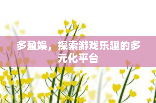 多盈娱，探索游戏乐趣的多元化平台
