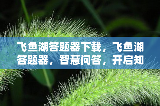飞鱼湖答题器下载,飞鱼湖答题器,智慧问答,开启知识新篇章 飞鱼湖答题器下载,飞鱼湖答题器,智慧问答,开启知识新篇章