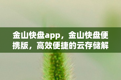 金山快盘app，金山快盘便携版，高效便捷的云存储解决方案