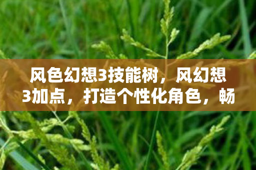 风色幻想3技能树,风幻想3加点,打造个性化角色,畅享无限可能 风色幻想3技能树,风幻想3加点,打造个性化角色,畅享无限可能