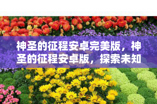 神圣的征程安卓完美版，神圣的征程安卓版，探索未知世界的奇幻之旅